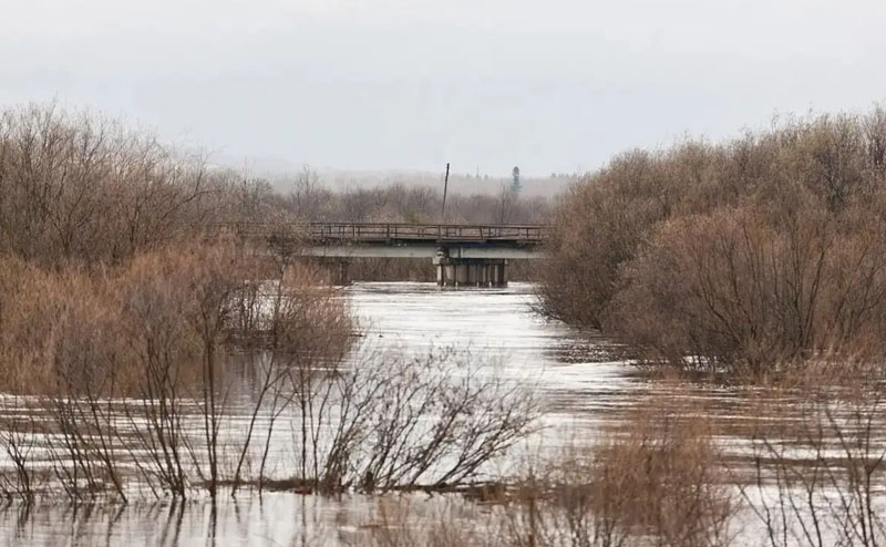 Пик паводка второй волны в Северо-Казахстанской области пройден