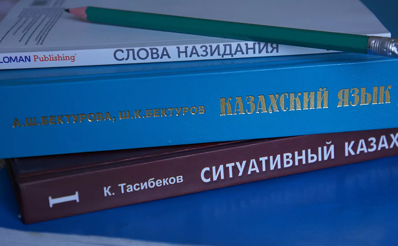 Преподают 11 лет – результата нет: глава Минпросвета о казахском языке
